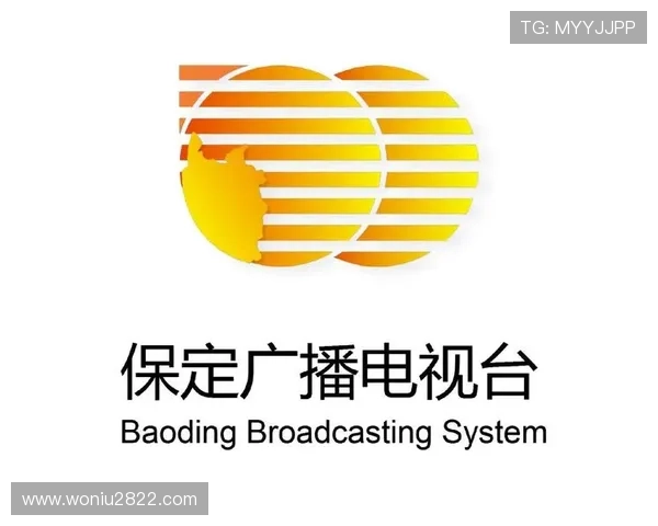 包头新闻综合频道在线直播精彩内容抢先看